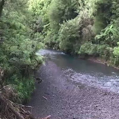 Pakihi Track - Motu River